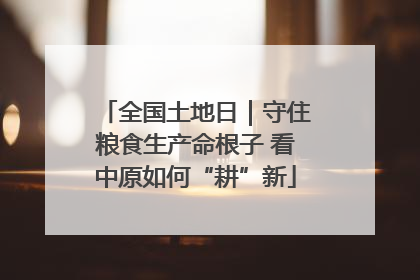 全国土地日｜守住粮食生产命根子 看中原如何“耕”新