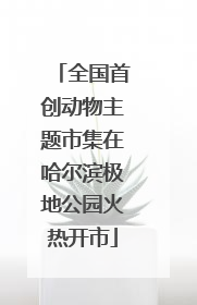 全国首创动物主题市集在哈尔滨极地公园火热开市