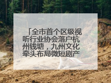 全市首个区级视听行业协会落户杭州钱塘，九州文化牵头布局微短剧产业高地