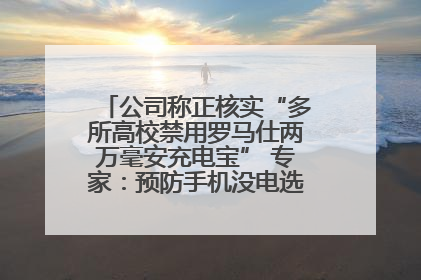 公司称正核实“多所高校禁用罗马仕两万毫安充电宝” 专家：预防手机没电选中等体积产品即可