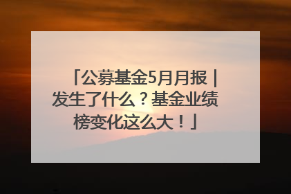 公募基金5月月报｜发生了什么？基金业绩榜变化这么大！