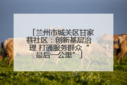 兰州市城关区甘家巷社区：创新基层治理 打通服务群众“最后一公里”