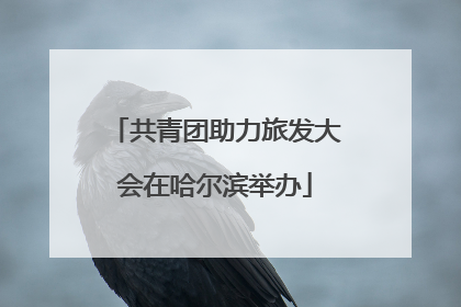 共青团助力旅发大会在哈尔滨举办