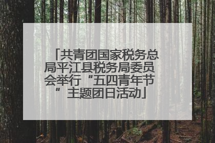 共青团国家税务总局平江县税务局委员会举行“五四青年节”主题团日活动