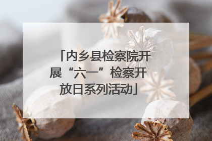 内乡县检察院开展“六一”检察开放日系列活动