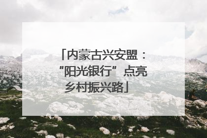 内蒙古兴安盟：“阳光银行”点亮乡村振兴路