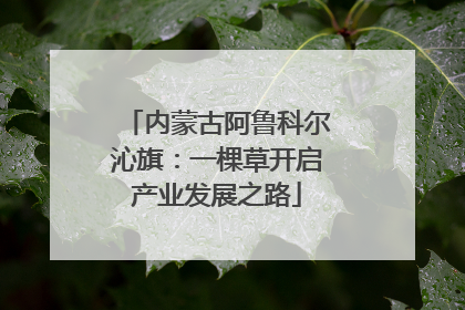 内蒙古阿鲁科尔沁旗：一棵草开启产业发展之路