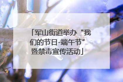 军山街道举办“我们的节日-端午节”暨禁毒宣传活动