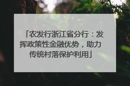 农发行浙江省分行：发挥政策性金融优势，助力传统村落保护利用