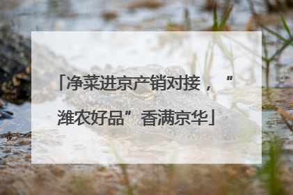 净菜进京产销对接，“潍农好品”香满京华