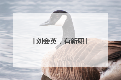 刘会英，有新职