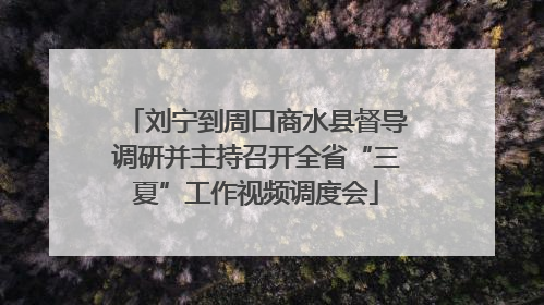 刘宁到周口商水县督导调研并主持召开全省“三夏”工作视频调度会