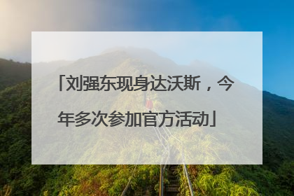 刘强东现身达沃斯，今年多次参加官方活动