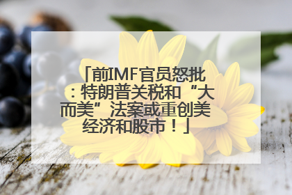 前IMF官员怒批：特朗普关税和“大而美”法案或重创美经济和股市！