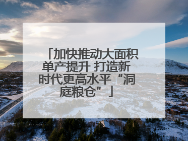 加快推动大面积单产提升 打造新时代更高水平“洞庭粮仓”