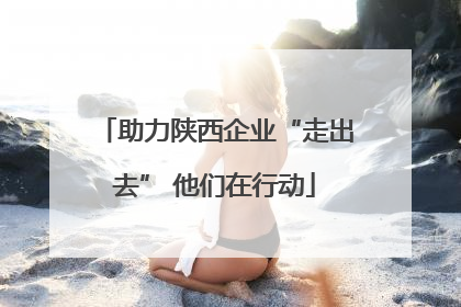 助力陕西企业“走出去” 他们在行动