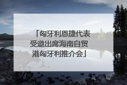 匈牙利恩捷代表受邀出席海南自贸港匈牙利推介会