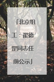 北京组工：翟德罡同志任前公示