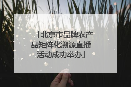 北京市品牌农产品矩阵化溯源直播活动成功举办