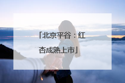 北京平谷：红杏成熟上市