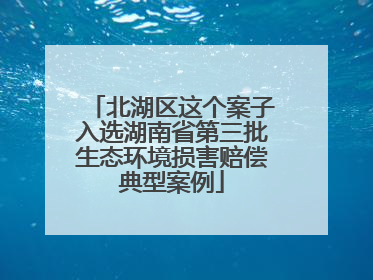 北湖区这个案子入选湖南省第三批生态环境损害赔偿典型案例