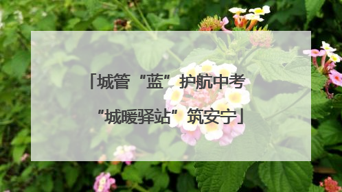 城管“蓝”护航中考 “城暖驿站”筑安宁