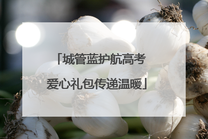 城管蓝护航高考 爱心礼包传递温暖