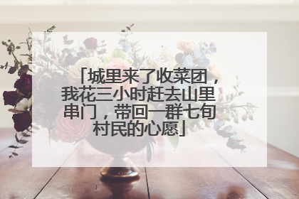 城里来了收菜团，我花三小时赶去山里串门，带回一群七旬村民的心愿