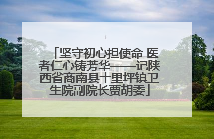 坚守初心担使命 医者仁心铸芳华——记陕西省商南县十里坪镇卫生院副院长贾胡委