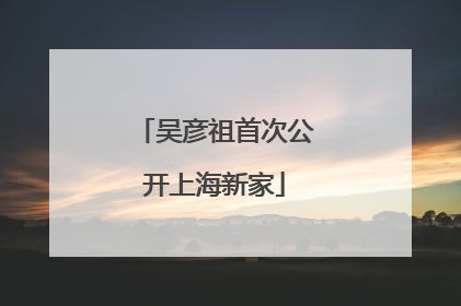 吴彦祖首次公开上海新家