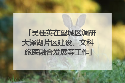 吴桂英在望城区调研大泽湖片区建设、文科旅医融合发展等工作
