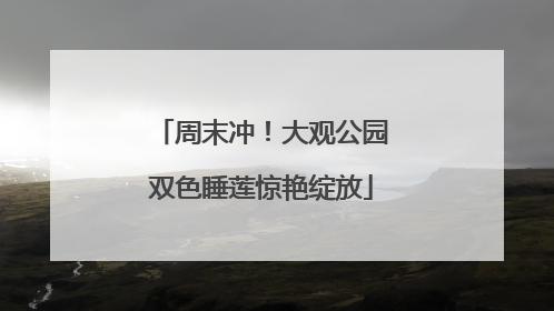 周末冲！大观公园双色睡莲惊艳绽放