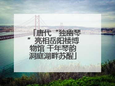 唐代“独幽琴”亮相岳阳楼博物馆 千年琴韵洞庭湖畔苏醒