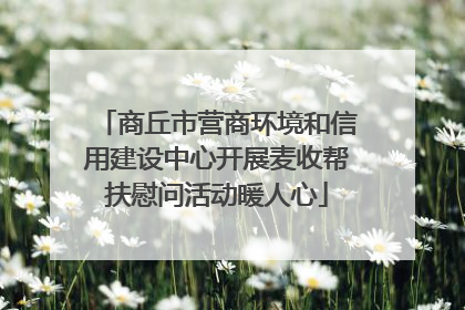 商丘市营商环境和信用建设中心开展麦收帮扶慰问活动暖人心
