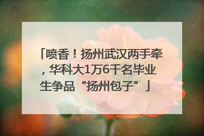 喷香！扬州武汉两手牵，华科大1万6千名毕业生争品“扬州包子”
