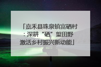 嘉禾县珠泉镇富硒村：深耕“硒”望田野 激活乡村振兴新动能