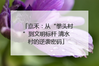 嘉禾：从“拳头村”到文明标杆 清水村的逆袭密码