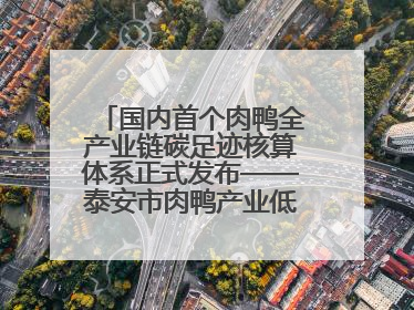 国内首个肉鸭全产业链碳足迹核算体系正式发布——泰安市肉鸭产业低碳发展标准示范项目顺利通过验收