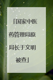 国家中医药管理局原局长于文明被查