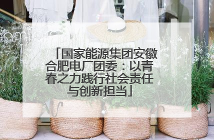国家能源集团安徽合肥电厂团委：以青春之力践行社会责任与创新担当