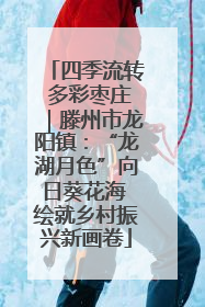 四季流转 多彩枣庄｜滕州市龙阳镇：“龙湖月色”向日葵花海 绘就乡村振兴新画卷