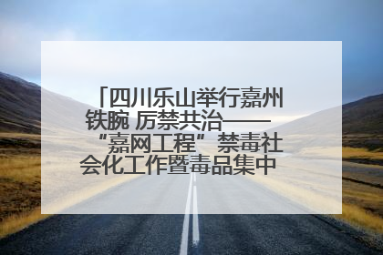 四川乐山举行嘉州铁腕 厉禁共治——“嘉网工程”禁毒社会化工作暨毒品集中销毁启动仪式