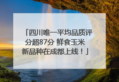 四川唯一平均品质评分超87分 鲜食玉米新品种在成都上线！