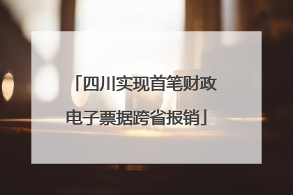 四川实现首笔财政电子票据跨省报销