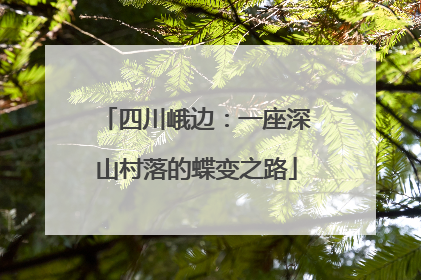 四川峨边：一座深山村落的蝶变之路