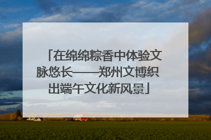 在绵绵粽香中体验文脉悠长——郑州文博织出端午文化新风景