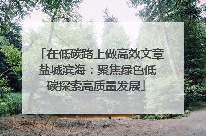 在低碳路上做高效文章 盐城滨海：聚焦绿色低碳探索高质量发展
