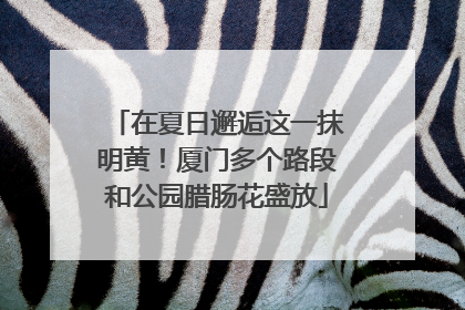 在夏日邂逅这一抹明黄！厦门多个路段和公园腊肠花盛放