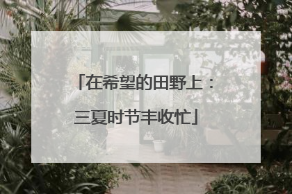在希望的田野上：三夏时节丰收忙