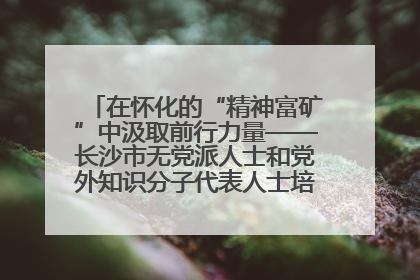 在怀化的“精神富矿”中汲取前行力量——长沙市无党派人士和党外知识分子代表人士培训班在怀化圆满举办